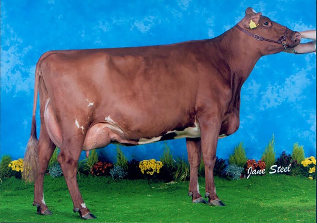 Daughter: Lincool Heather 10th EX95