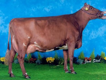 Daughter: Lincool Heather 10th EX95